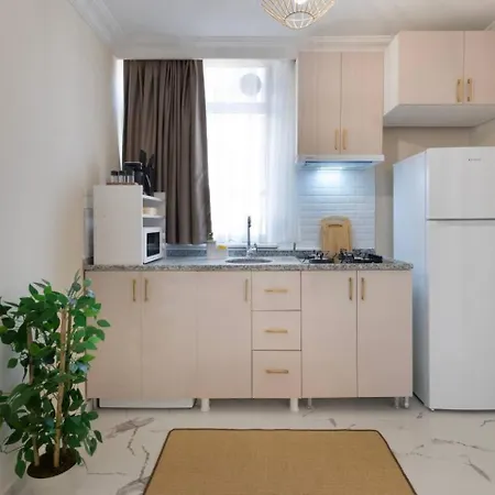 Apartment Modern Space Walking Distance From Taksim Sq Istanbul