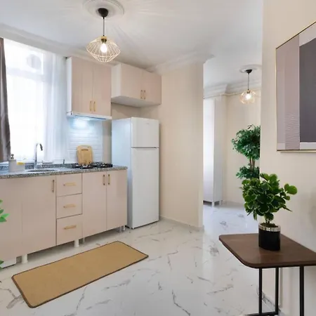 Apartment Modern Space Walking Distance From Taksim Sq *